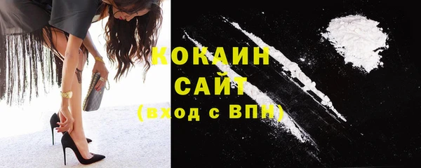 ешки Богданович