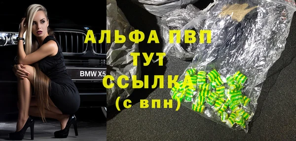 ешки Богданович