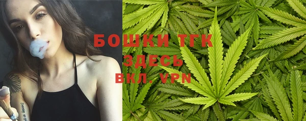 ешки Богданович