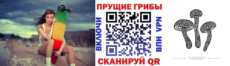 Псилоцибиновые грибы Psilocybine cubensis  Нахабино 